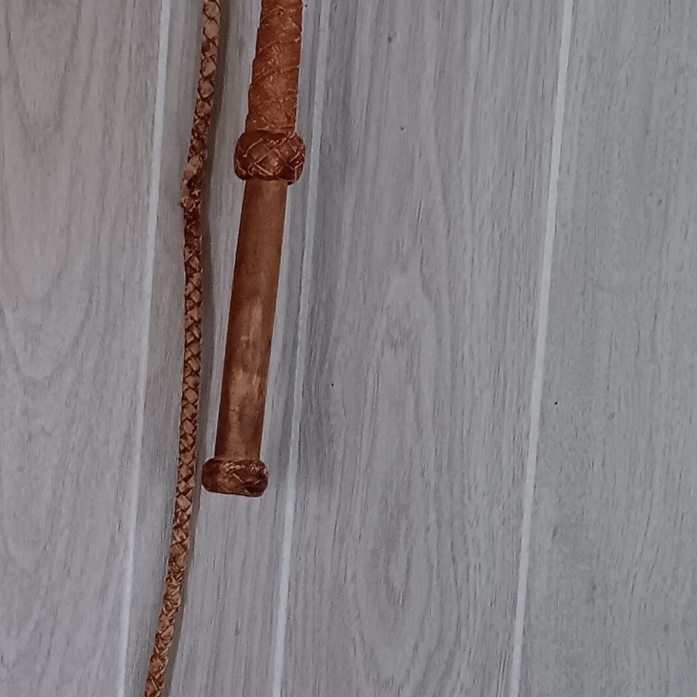 Lariat - Picture 3 of 3